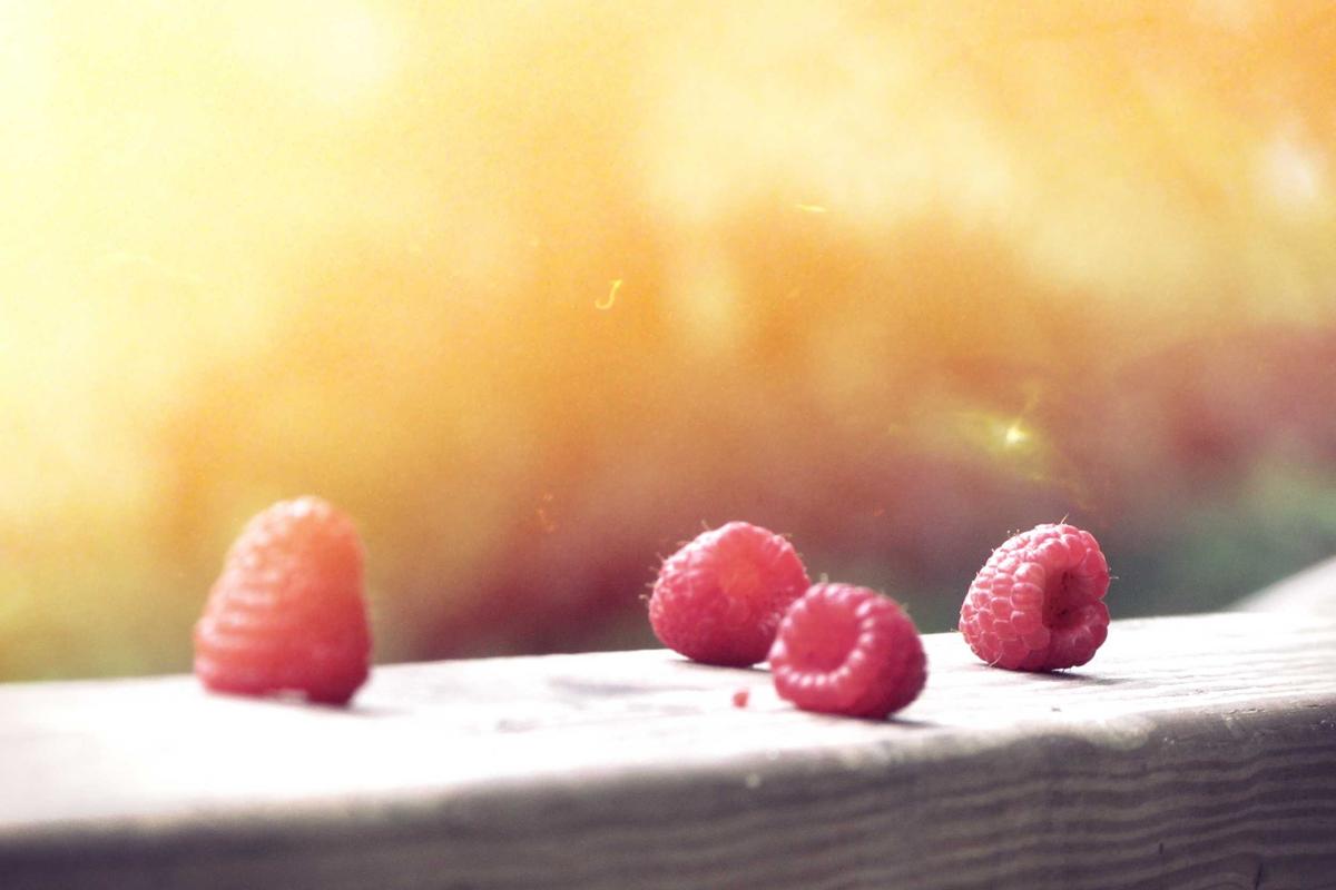 Gahar Buat Gaming! iQOO 15 Ultra Hadir dengan Snapdragon Terbaru, Kipas Pendingin, dan Baterai Jumbo 7400 mAh