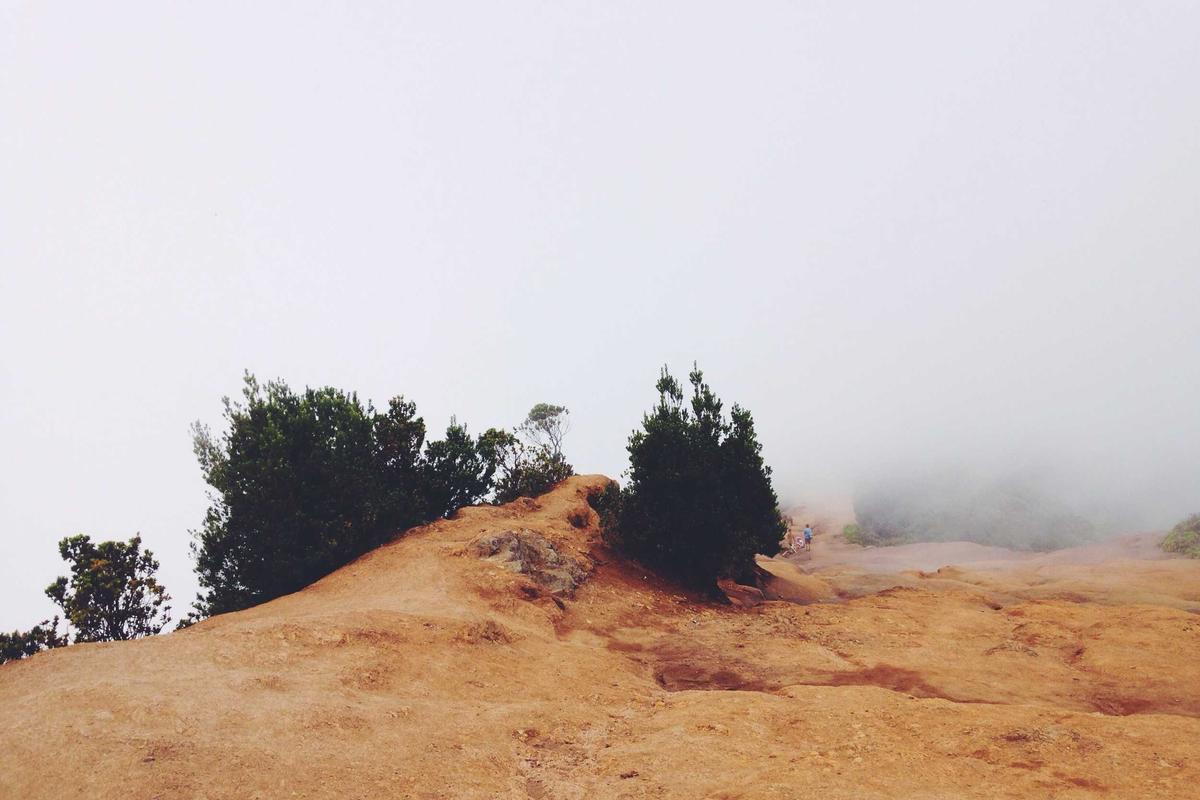 iQOO Z10 Turbo Meluncur: Smartphone Gaming Kencang dengan Harga Terjangkau – palpos.disway.id