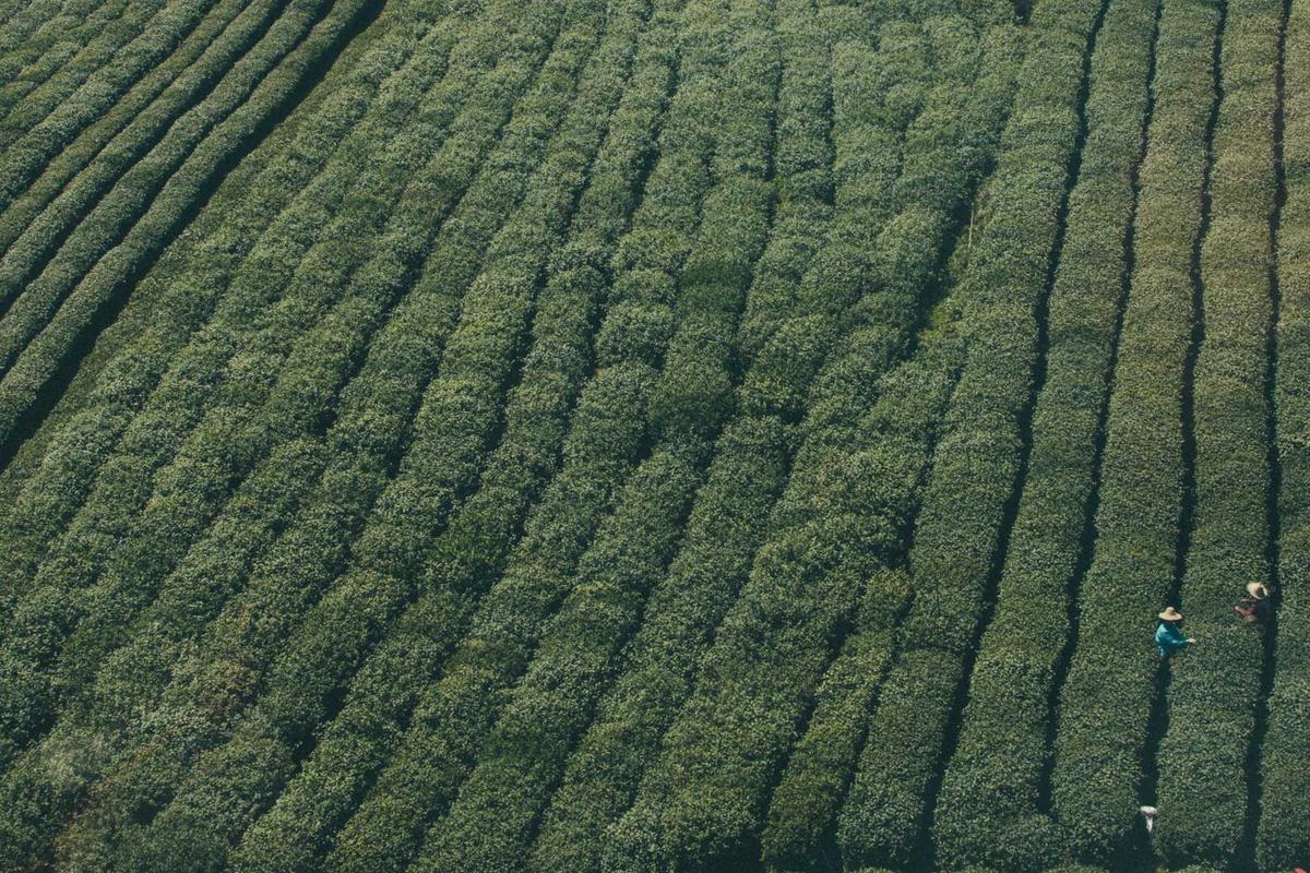 Realme Narzo 80 Pro 5G: Smartphone Gaming & Foto/Vidio Premium dengan Performa Tangguh di 2025 – palpos.disway.id