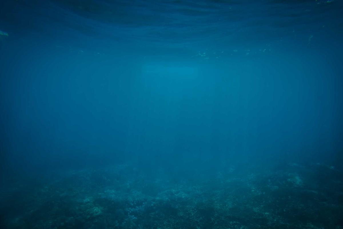 Infinix GT 50 Pro Resmi di Indonesia: HP Gaming dengan Pendingin HydroFlow & Performa Gahar