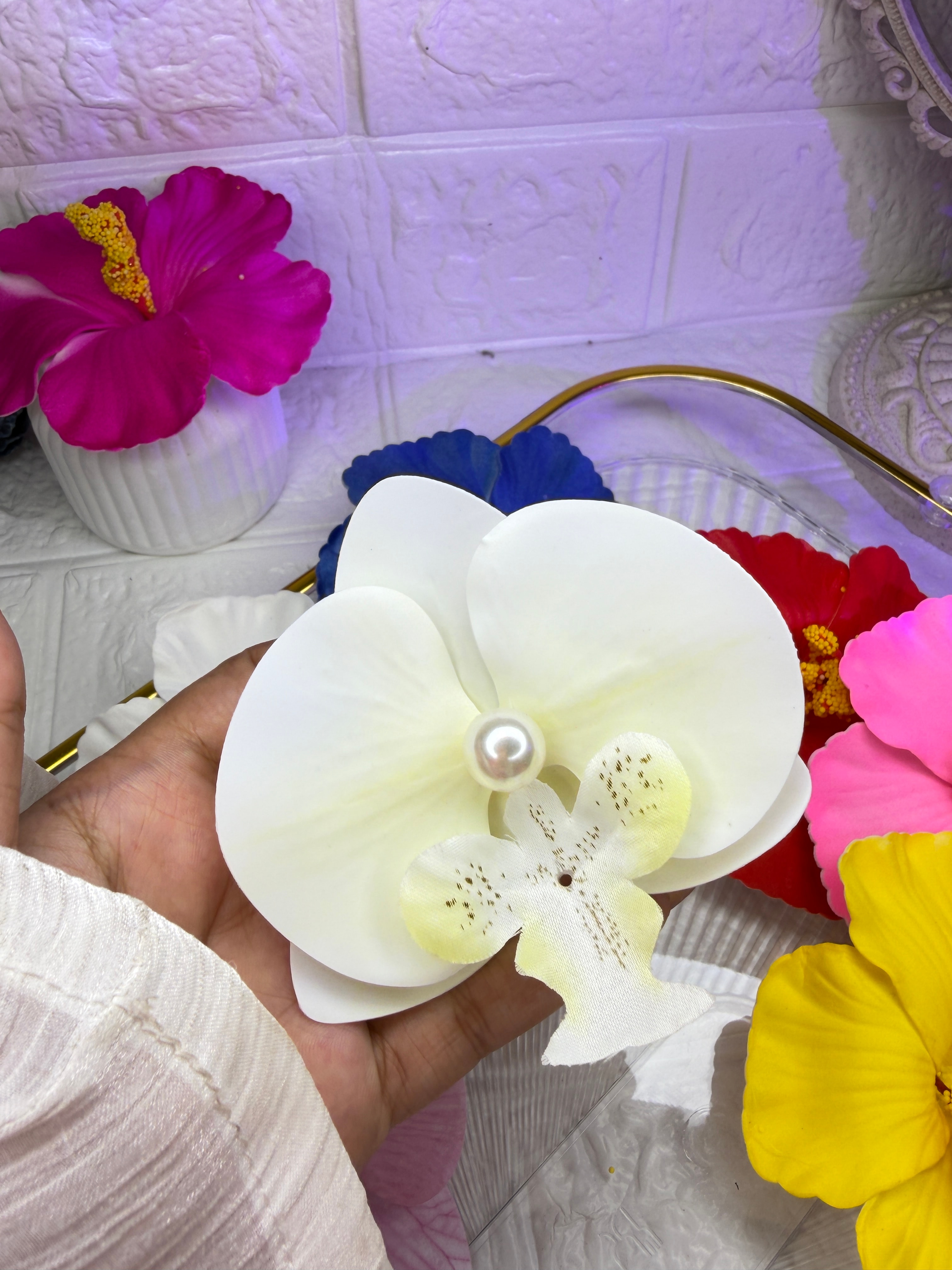 Orchid flowers clip 