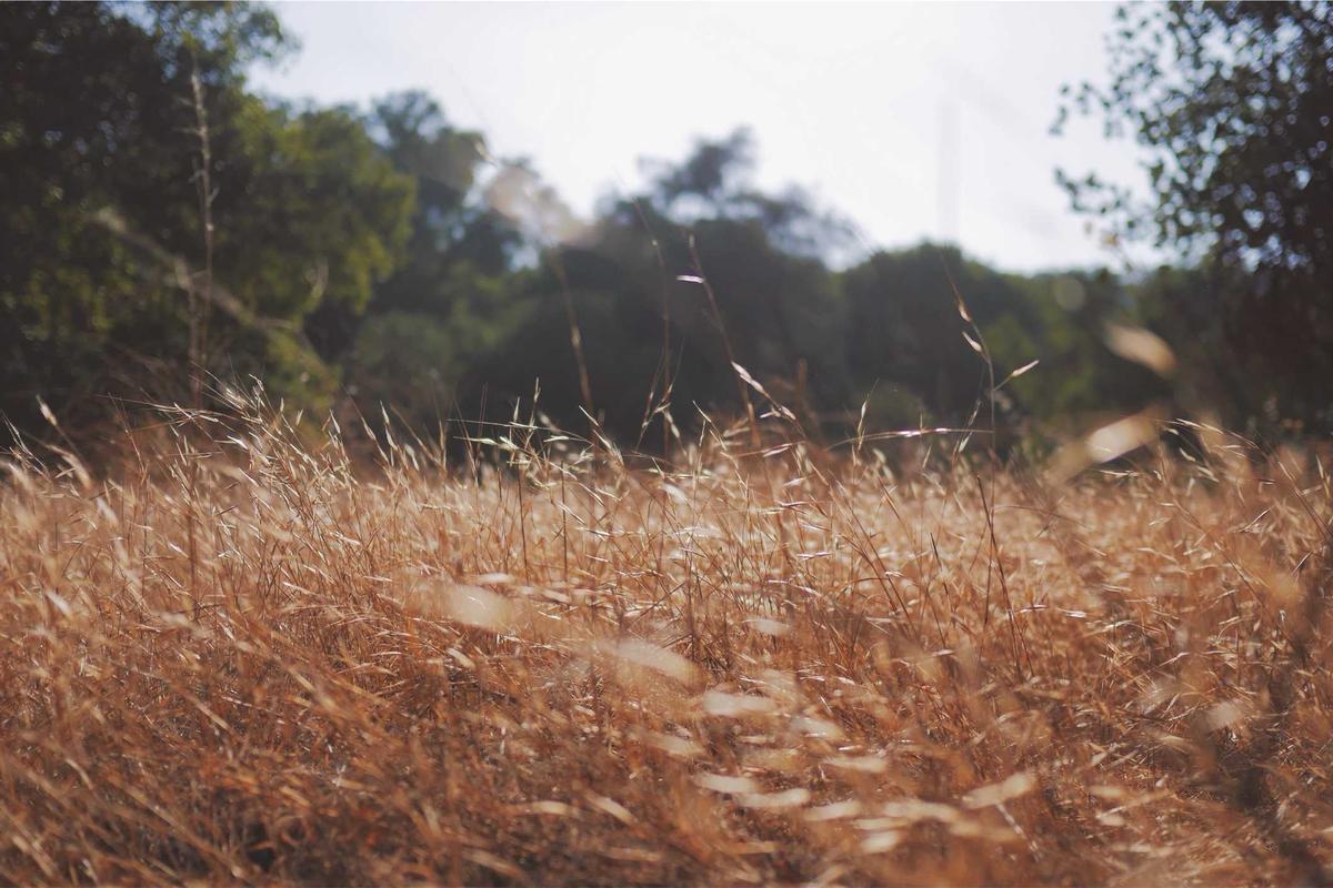 Review REDMAGIC 11 Pro: Smartphone Gaming Berperforma dengan Liquid Cooling