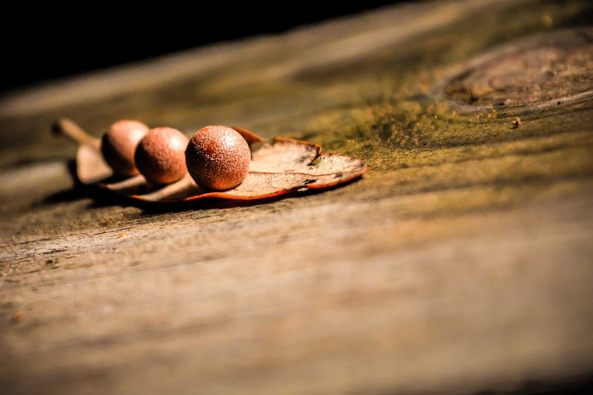 Xiaomi Luncurkan Lini Tablet Gaming Terbaru Performa Tinggi 2026