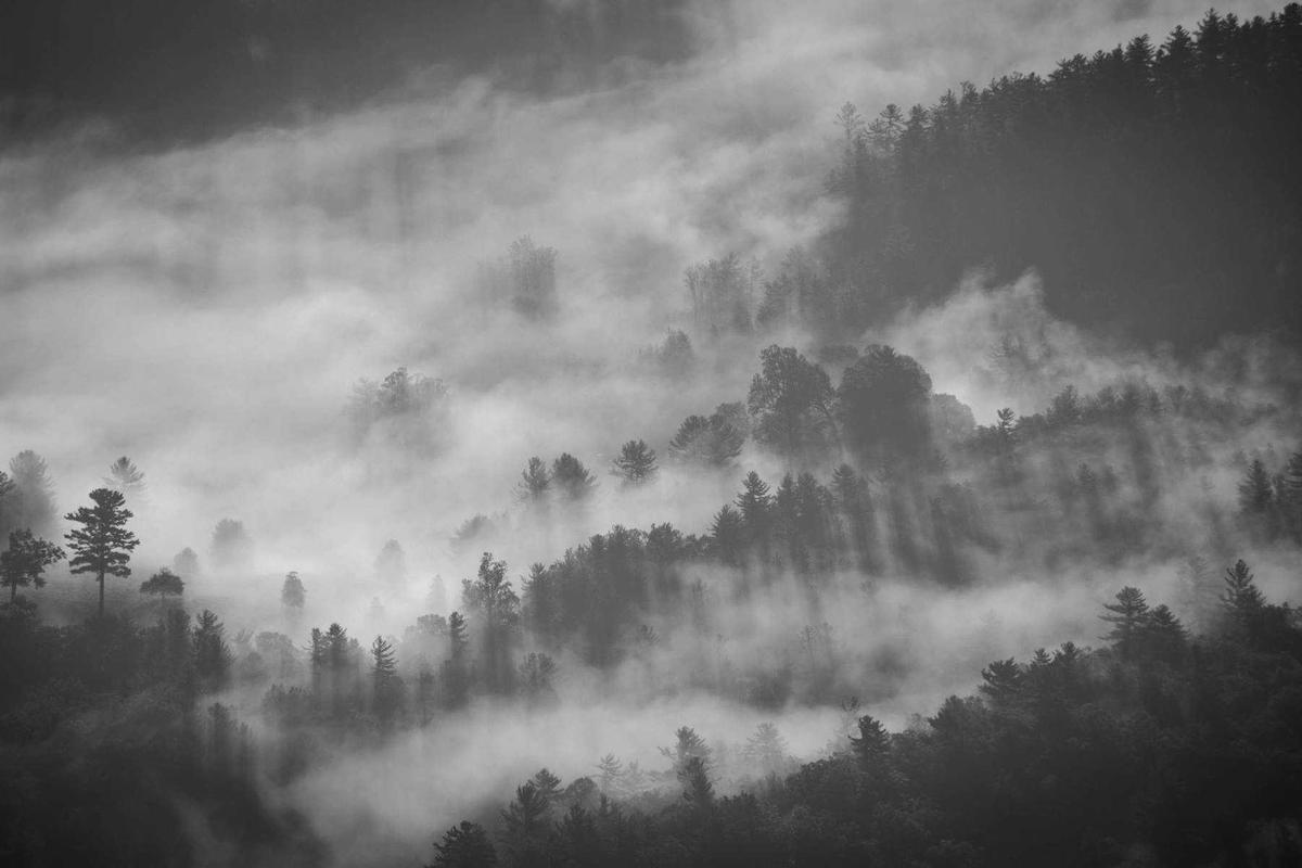 Realme Narzo 80 Pro 5G: Smartphone Gaming & Foto/Vidio Premium dengan Performa Tangguh di 2025 – palpos.disway.id