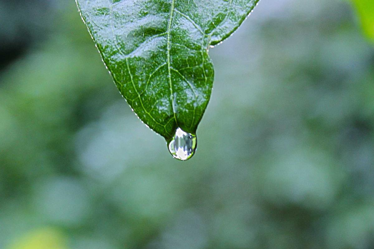 Realme Narzo 80 Pro 5G: Smartphone Gaming & Foto/Vidio Premium dengan Performa Tangguh di 2025 – palpos.disway.id