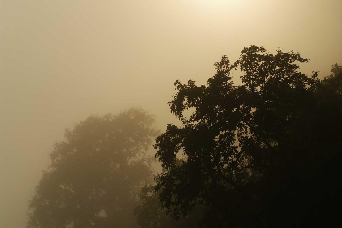 Realme Narzo 80 Pro 5G: Smartphone Gaming & Foto/Vidio Premium dengan Performa Tangguh di 2025 – palpos.disway.id