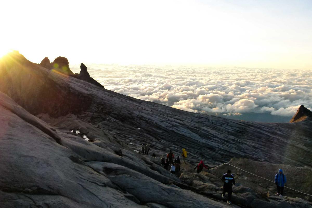 Realme Narzo 80 Pro 5G: Smartphone Gaming & Foto/Vidio Premium dengan Performa Tangguh di 2025 – palpos.disway.id