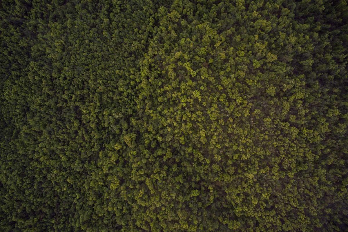 Infinix GT 50 Pro Resmi di Indonesia: HP Gaming dengan Pendingin HydroFlow & Performa Gahar